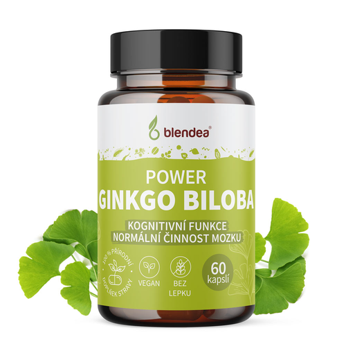 Ginkgo biloba 60 kapsúl